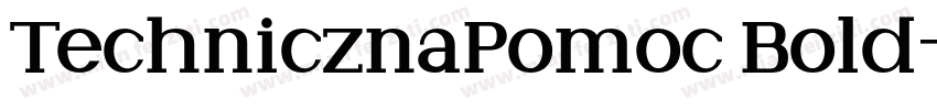 TechnicznaPomoc Bold字体转换